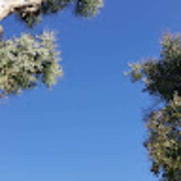 sureshsv